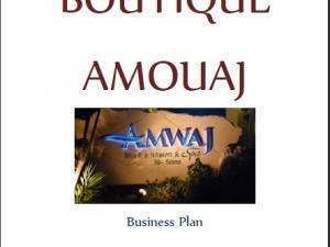 Business plan 2