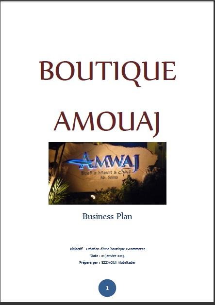 Business plan